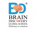 brain discovery